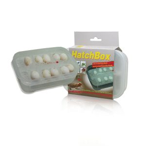 Hatchbox Incubation Tray, HB-01