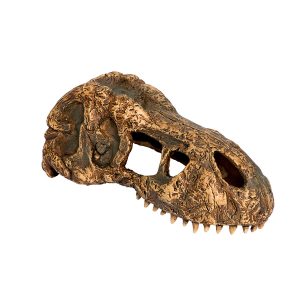 Exo Terra T-Rex Skull Small, PT2860