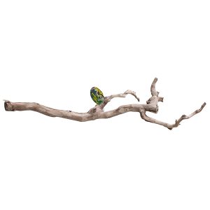 Lucky Reptile Premium  Grapevine Large DLP-L