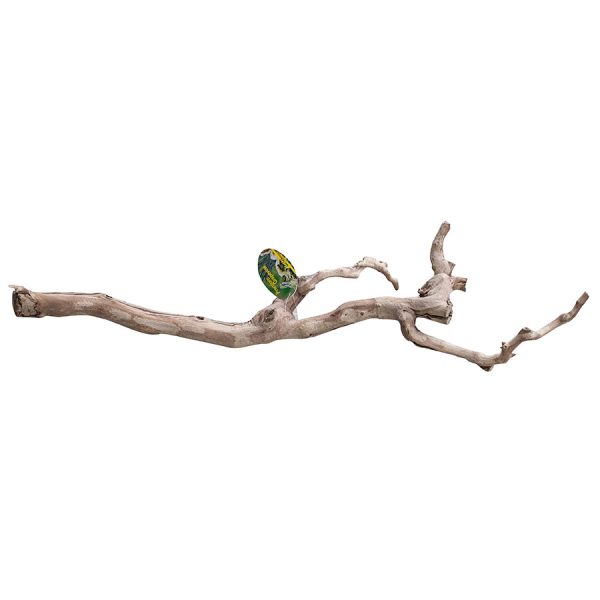 Lucky Reptile Premium  Grapevine Large DLP-L