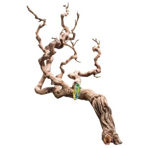 Lucky Reptile Premium Grapevine Show DLP-S