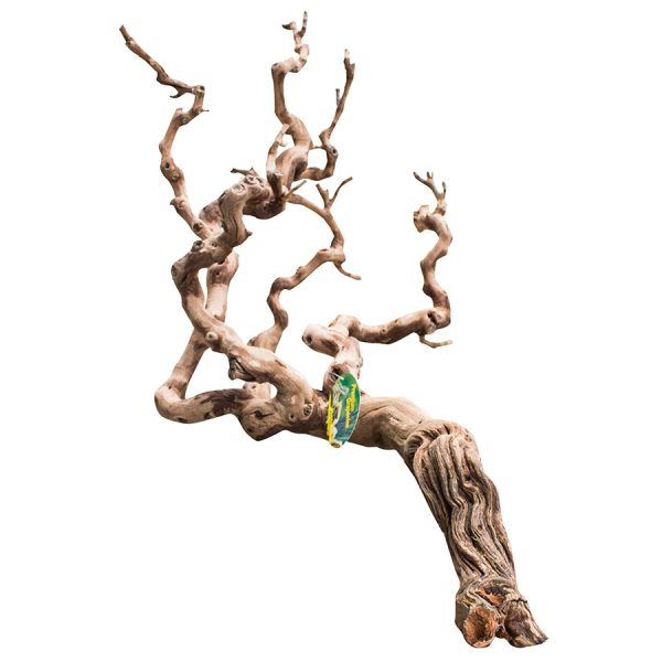 Lucky Reptile Premium Grapevine Show DLP-S