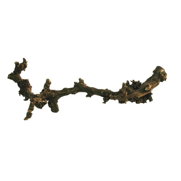 Lucky Reptile Dark Grapevine Medium, DLD-M