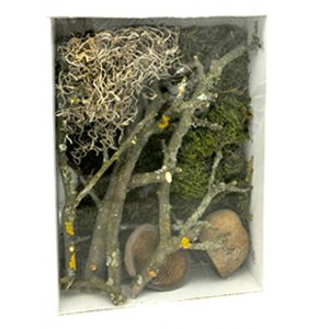 Lucky Reptile Life Experience Decor Jungle, LDS-02