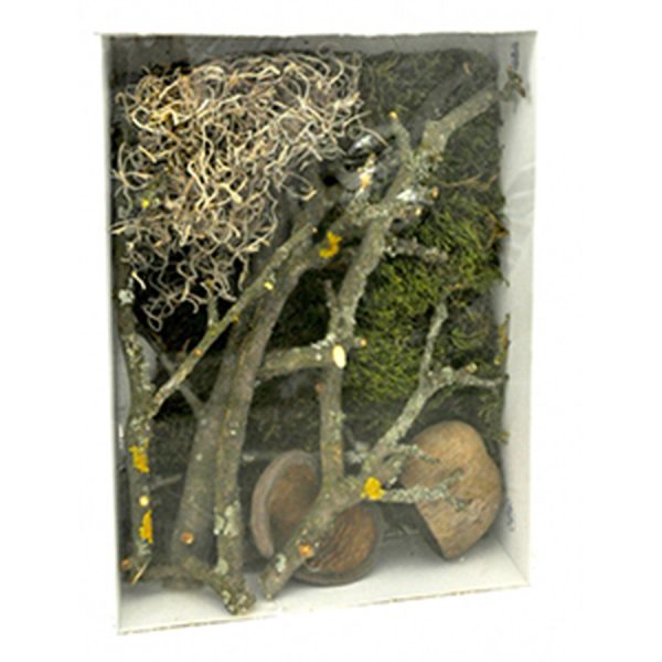Lucky Reptile Life Experience Decor Jungle, LDS-02