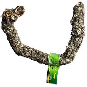 Lucky Reptile Tronchos Cork Branch 30-40 cm DLT-30