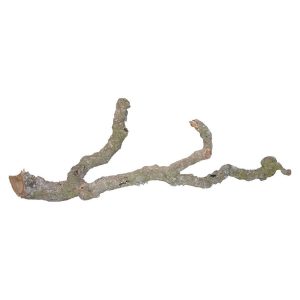 Lucky Reptile Tronchos Branches 90-120cm, DLT-M