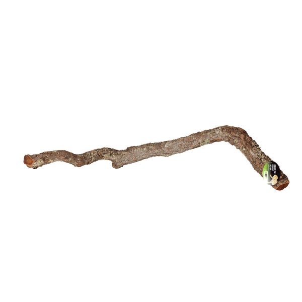 Pro Rep Cork Oak Branch, 40-60cm