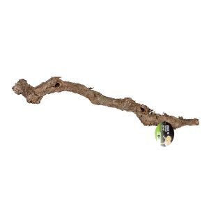 Pro Rep Cork Oak Branch, 80-100cm
