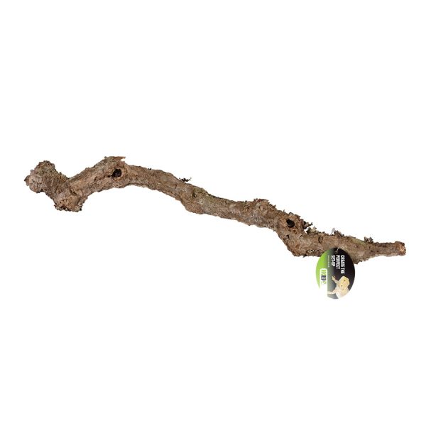 Pro Rep Cork Oak Branch, 80-100cm