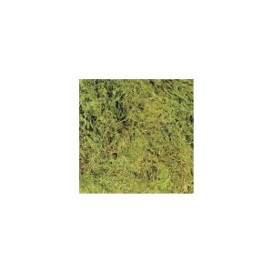 Zoo Med Terrarium Moss, Large 3.28L, CF-2L