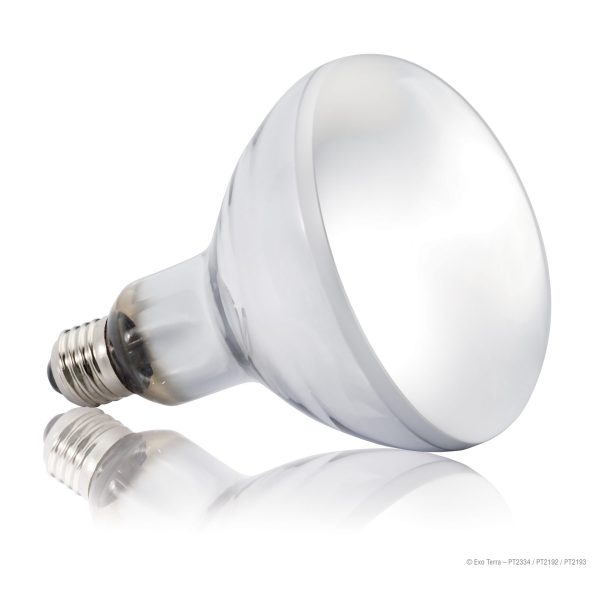 Exo Terra SolarGlo Mercury Vapour Lamp 80W, PT2334 - Image 2