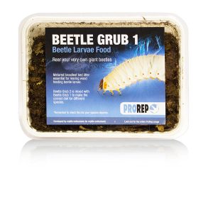 Pro Rep Beetle Grub (Type A)