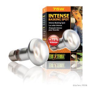 Exo Terra Intense Basking Spot 75W