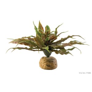 Exo Terra Star Cactus, PT-2982