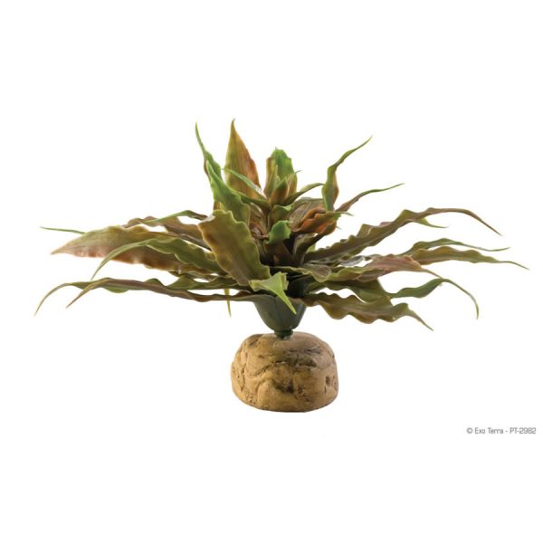 Exo Terra Star Cactus, PT-2982