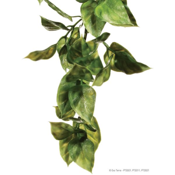 Exo Terra Plastic Plant Amapallo Small, PT3001