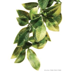 Exo Terra Plastic Plant Mandarin Large, PT3022