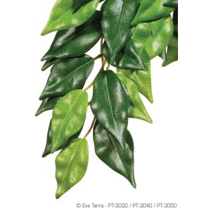 Exo Terra Silk Plant Ficus Large, PT3050