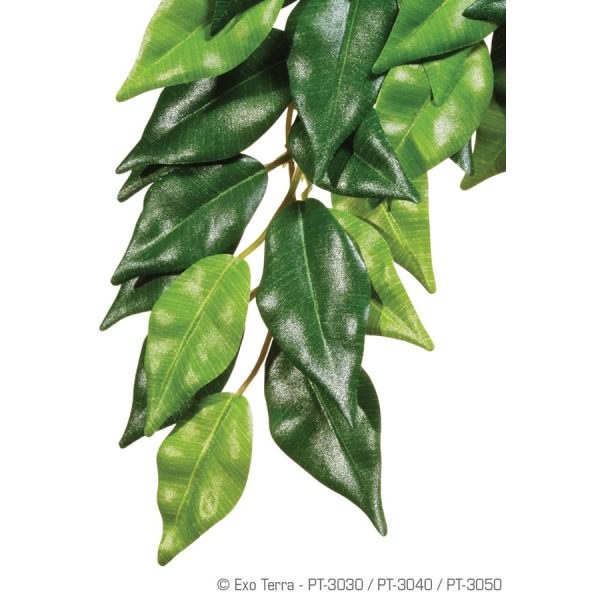 Exo Terra Silk Plant Ficus Large, PT3050
