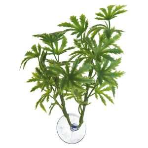 ZooMed Amazonian Phyllo, Medium, BU-21
