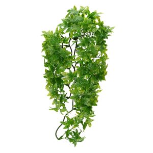 ZooMed Congo Ivy, Medium, BU-22