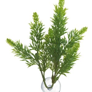ZooMed Malaysian Fern, Medium, BU-23