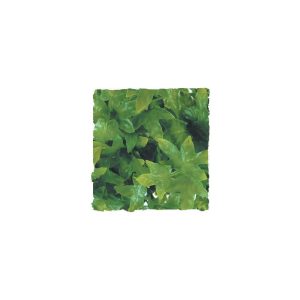 ZooMed Congo Ivy, Large, BU-32