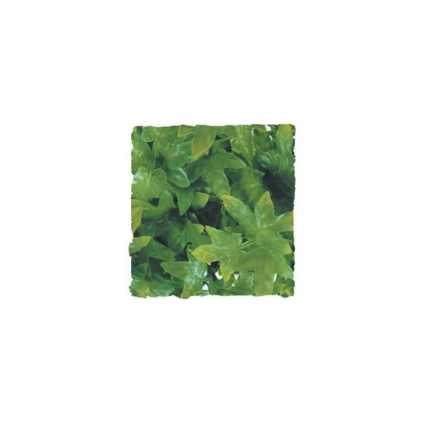 ZooMed Congo Ivy, Large, BU-32