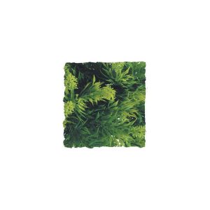 ZooMed Malaysian Fern, Large, BU-33