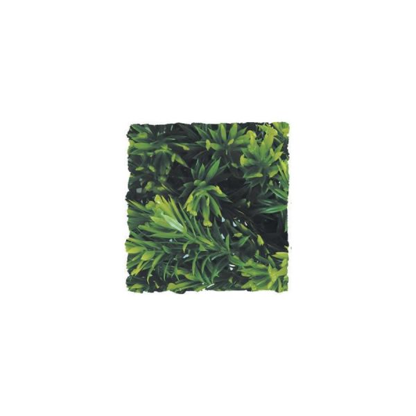 ZooMed Borneo Star, Large, BU-37