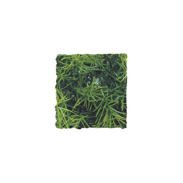 ZooMed Cashuarina, Large, BU-38