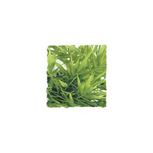 ZooMed Madagascar Bamboo, Large, BU-39