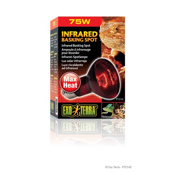 Exo Terra Infrared Basking Spot 75W