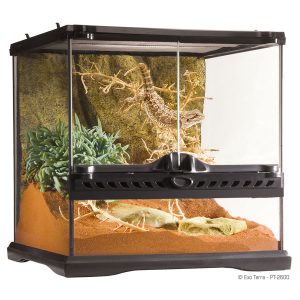 Terrarium Mini Wide 30x30x30cm,PT2600