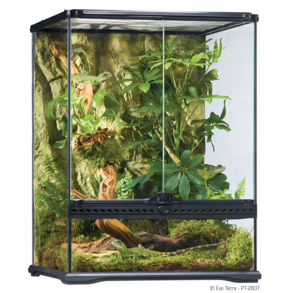 Terrarium Small Tall 45x45x60cm, PT2607
