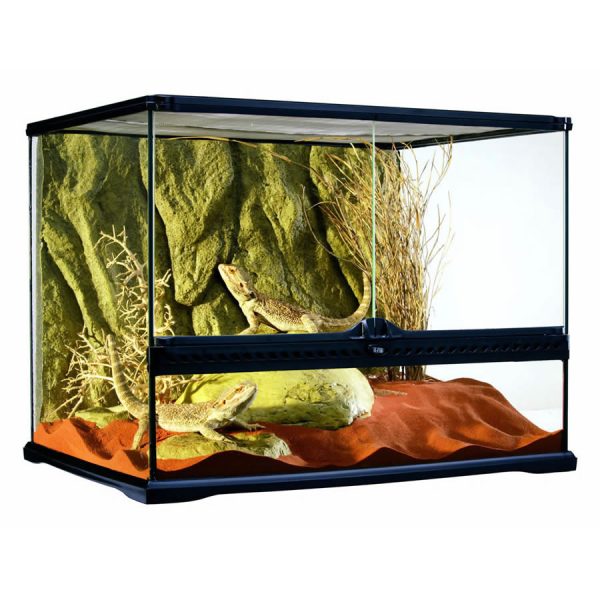 Terrarium Medium Wide 60x45x45cm, PT2610
