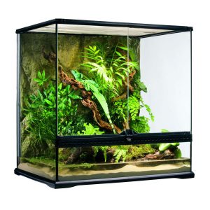 Terrarium Medium Tall 60x45x60cm, PT2612