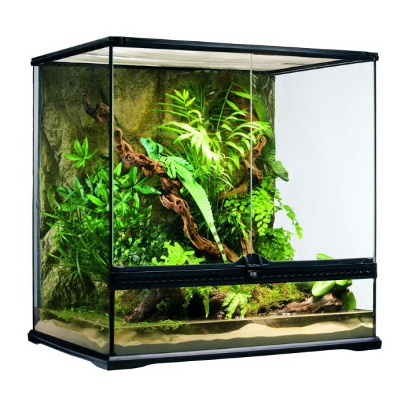 Terrarium Medium Tall 60x45x60cm, PT2612