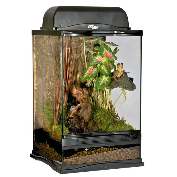 Naturalistic Terrarium 30x30x45cm NT2
