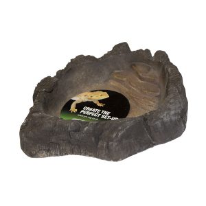 Terrarium Bowl Wood Large