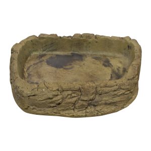 Tortoise Pool Medium, WPE305