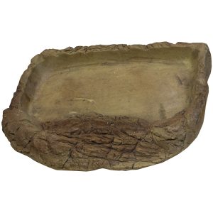 Tortoise Pool Large, WPE310