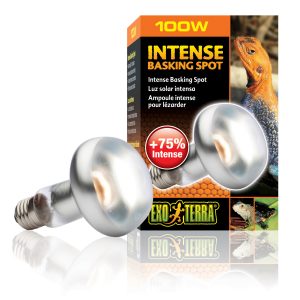 Exo Terra Intense Basking Spot 100W