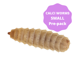 Calci-Worms - Small Pre-Pack