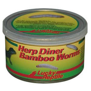 Lucky Reptile Herp Diner Bamboo Worms