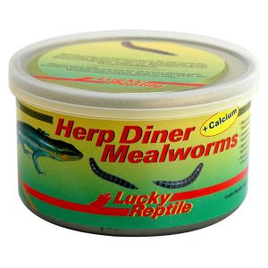 Lucky Reptile Herp Diner Mealworms + Calcium