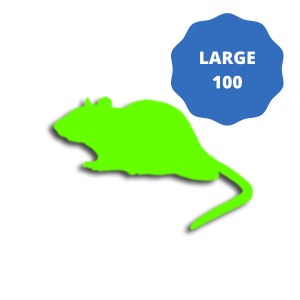 Frozen Rat Large 251-350g (100 Pack)