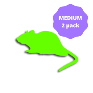 Frozen Rat Medium 151-250g (2 Pack)