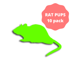 Frozen Rat Pups 4-10g (10 Pack)